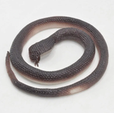 Rubber Snakes